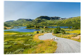 Tableau en verre acrylique Three sheep, Norway - Rainer Mirau