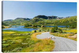 Lærredsbillede Three sheep, Norway - Rainer Mirau