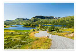 Wandbild Drei Schafe, Norwegen - Rainer Mirau
