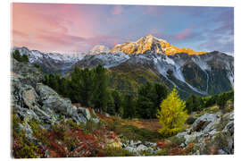 Acrylglasbild Ortler, Tirol - Rainer Mirau
