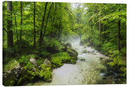 Leinwandbild Sommerwald - Rainer Mirau