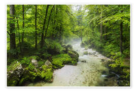 Wandbild Sommerwald - Rainer Mirau