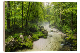 Stampa su legno Summer forest - Rainer Mirau