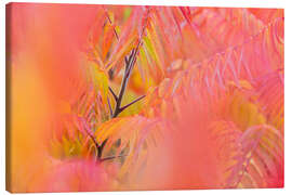 Leinwandbild Farbenspiel I - Rainer Mirau