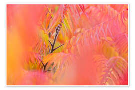 Wandbild Farbenspiel I - Rainer Mirau