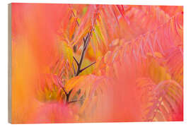 Holzbild Farbenspiel I - Rainer Mirau