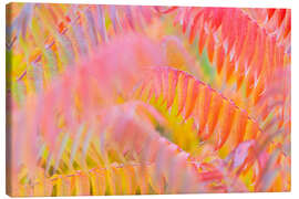 Leinwandbild Farbenspiel II - Rainer Mirau