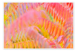 Wandbild Farbenspiel II - Rainer Mirau