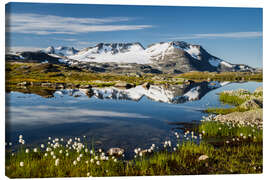 Leinwandbild Wollgras in Norwegen - Rainer Mirau