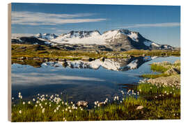 Holzbild Wollgras in Norwegen - Rainer Mirau