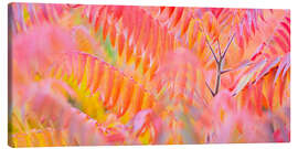 Leinwandbild Farbenspiel III - Rainer Mirau