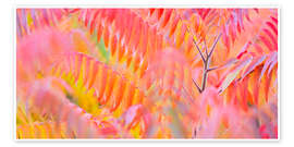 Poster Farbenspiel III - Rainer Mirau