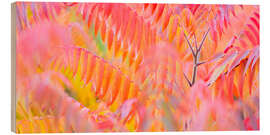 Quadro de madeira Colour Play III - Rainer Mirau