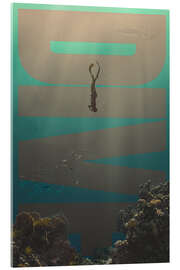 Quadro em acrílico Dive - athlete.art