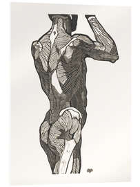 Acrylglasbild Anatomische Studie der Rücken- und Gesäßmuskulatur eines Mannes - Jan Stolker