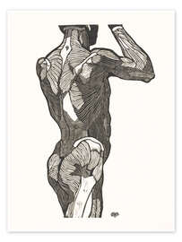 Wandbild Anatomische Studie der Rücken- und Gesäßmuskulatur eines Mannes - Jan Stolker