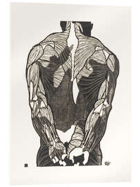 Acrylglasbild Anatomische Studie der Rückenmuskulatur eines Mannes, 1906 - Jan Stolker