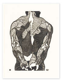 Wandbild Anatomische Studie der Rückenmuskulatur eines Mannes, 1906 - Jan Stolker
