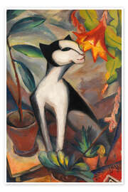 Poster Cat with cactus flower I - Dorothea Maetzel-Johannsen