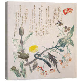 Leinwandbild Veilchen, Primeln und andere Frühlingsblumen - Kubota Shunman