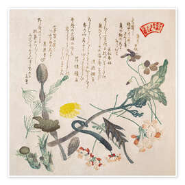 Poster Violets, Primroses and Other Spring Flowers - Kubota Shunman