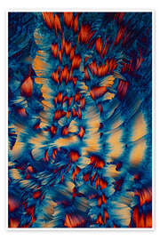 Poster Kristallwelt - Orange und blaue Kristalle unter dem Mikroskop - Jaroslaw Blaminsky