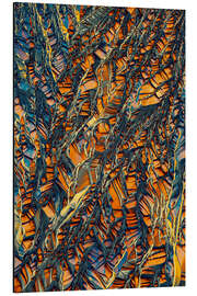 Print på aluminium Crystal World  - Golden crystals of Beta-Alanine - Jaroslaw Blaminsky