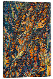 Tableau sur toile Crystal World  - Golden crystals of Beta-Alanine - Jaroslaw Blaminsky