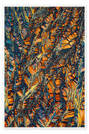 Poster Kristallwelt - Goldene Kristalle aus Beta-Alanin - Jaroslaw Blaminsky