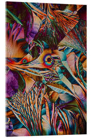 Acrylic print Crystal World - Colourful crystals of aminoacids - Jaroslaw Blaminsky