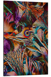 Tableau en aluminium Crystal World - Colourful crystals of aminoacids - Jaroslaw Blaminsky