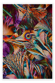 Poster Kristallwelt - Farbige Aminosäurekristalle - Jaroslaw Blaminsky