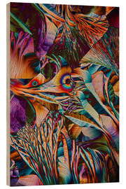 Holzbild Kristallwelt - Farbige Aminosäurekristalle - Jaroslaw Blaminsky