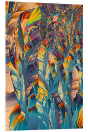 Acrylic print Crystal World - Rainbow crystals of Beta Alanine - Jaroslaw Blaminsky