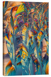 Lærredsbillede Crystal World - Rainbow crystals of Beta Alanine - Jaroslaw Blaminsky