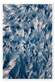 Poster Kristallwelt - Die blauen Kristalle von β-Alanin - Jaroslaw Blaminsky