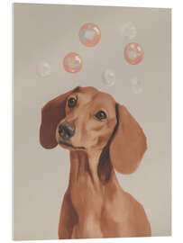 Acrylic print Dachshund dreams with soap bubbles - Carina Artspace