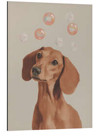 Aluminium print Dachshund dreams with soap bubbles - Carina Artspace