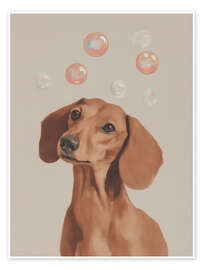 Poster Dackel Träume mit Seifenblasen - Carina Artspace