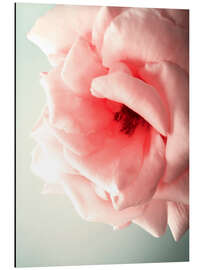 Print på aluminium Pink Kiss I - Angelo Cerantola