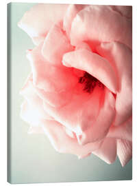 Tableau sur toile Pink Kiss I - Angelo Cerantola