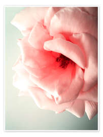 Obraz Pink Kiss I - Angelo Cerantola