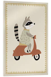 Quadro em acrílico Driving Raccoon - treechild