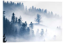 Acrylic print Fog-shrouded tree on a hill in the Emmental - Marcel Gross