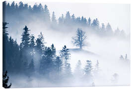 Canvas print Fog-shrouded tree on a hill in the Emmental - Marcel Gross