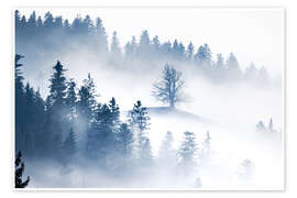 Billede Fog-shrouded tree on a hill in the Emmental - Marcel Gross