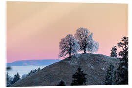 Acrylic print Frost-covered trees on Emmental hills during sunrise - Marcel Gross