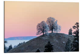 Print på aluminium Frost-covered trees on Emmental hills during sunrise - Marcel Gross