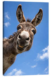 Leinwandbild Der lachende Esel unter blauem Himmel - Gabi Siebenhühner