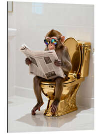 Print på aluminium Monkey on the golden toilet - Softlight Boutique